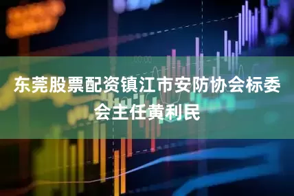 东莞股票配资镇江市安防协会标委会主任黄利民