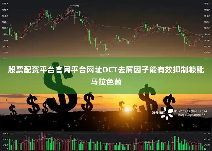 股票配资平台官网平台网址OCT去屑因子能有效抑制糠秕马拉色菌
