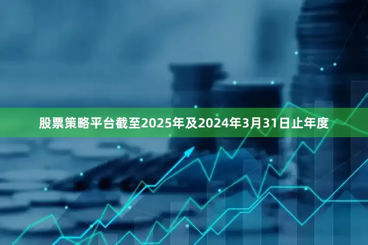 股票策略平台截至2025年及2024年3月31日止年度