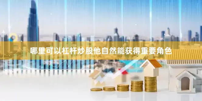 哪里可以杠杆炒股他自然能获得重要角色